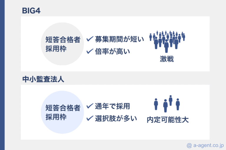 BIG4と中小監査法人の監査トレーニー比較